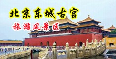 干了嫩B的视频中国北京-东城古宫旅游风景区